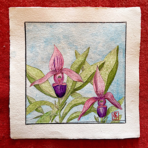 76 Orchids  2018 (No.66) Framed