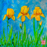 196  Yellow Irises May ‘19